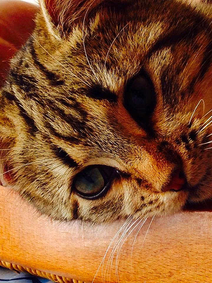 Chuck