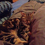 Chuck participe au concours pour gagner de l'argent avec cette photo :