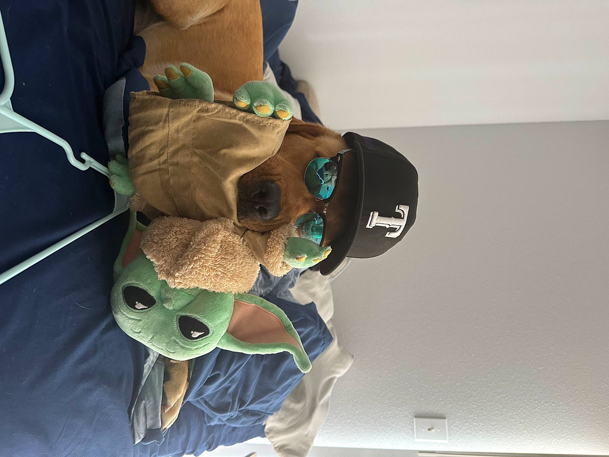 Mando is registered to the contest to win money with this photo: baby_products, eyewear, fictional_character, glove, goggles, linens, personal_protective_equipment, plush, room, sleeve, stuffed_toy, sunglasses, toy