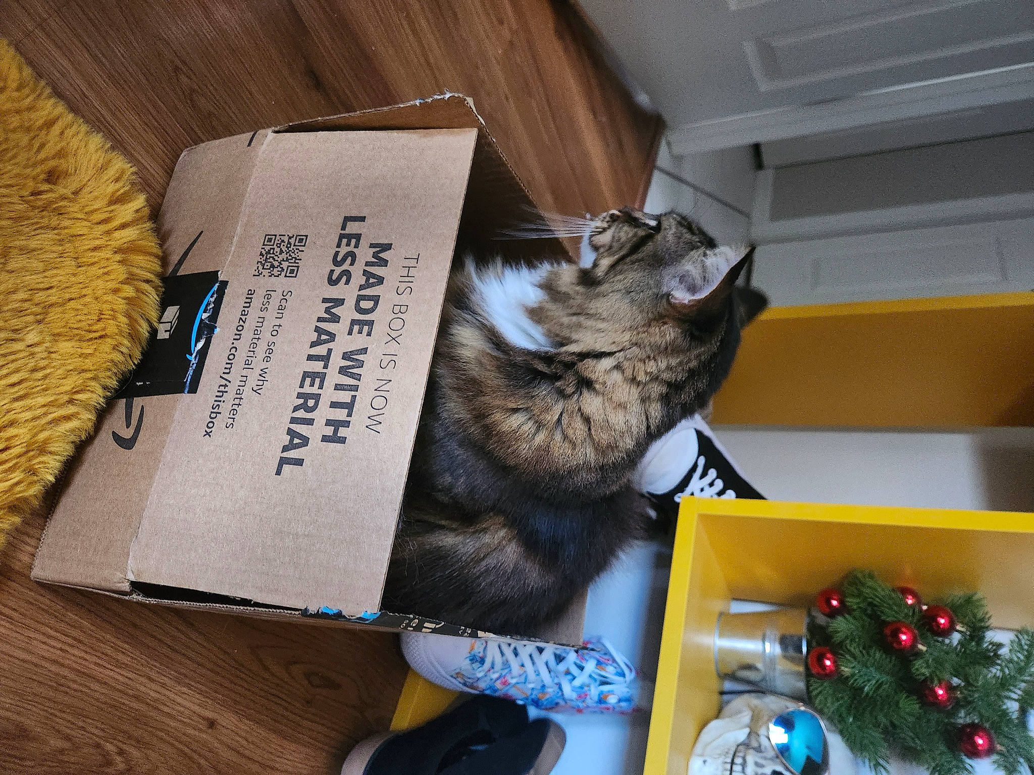 Fluffy is registered to the contest to win money with this photo: box, carnivore, cat, domestic_short_haired_cat, felidae, fur, paper, paper_product, room, small_to_medium_sized_cats, toy, whiskers, wood