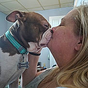 Bishop Tate is registered to the contest to win money with this photo: dog, person, woman, kissing, affection, pet, companion, brown_and_white, collar, name_tag, indoor, portrait, close_up, candid, love, bonding, face, eyes_closed, long_hair, home
