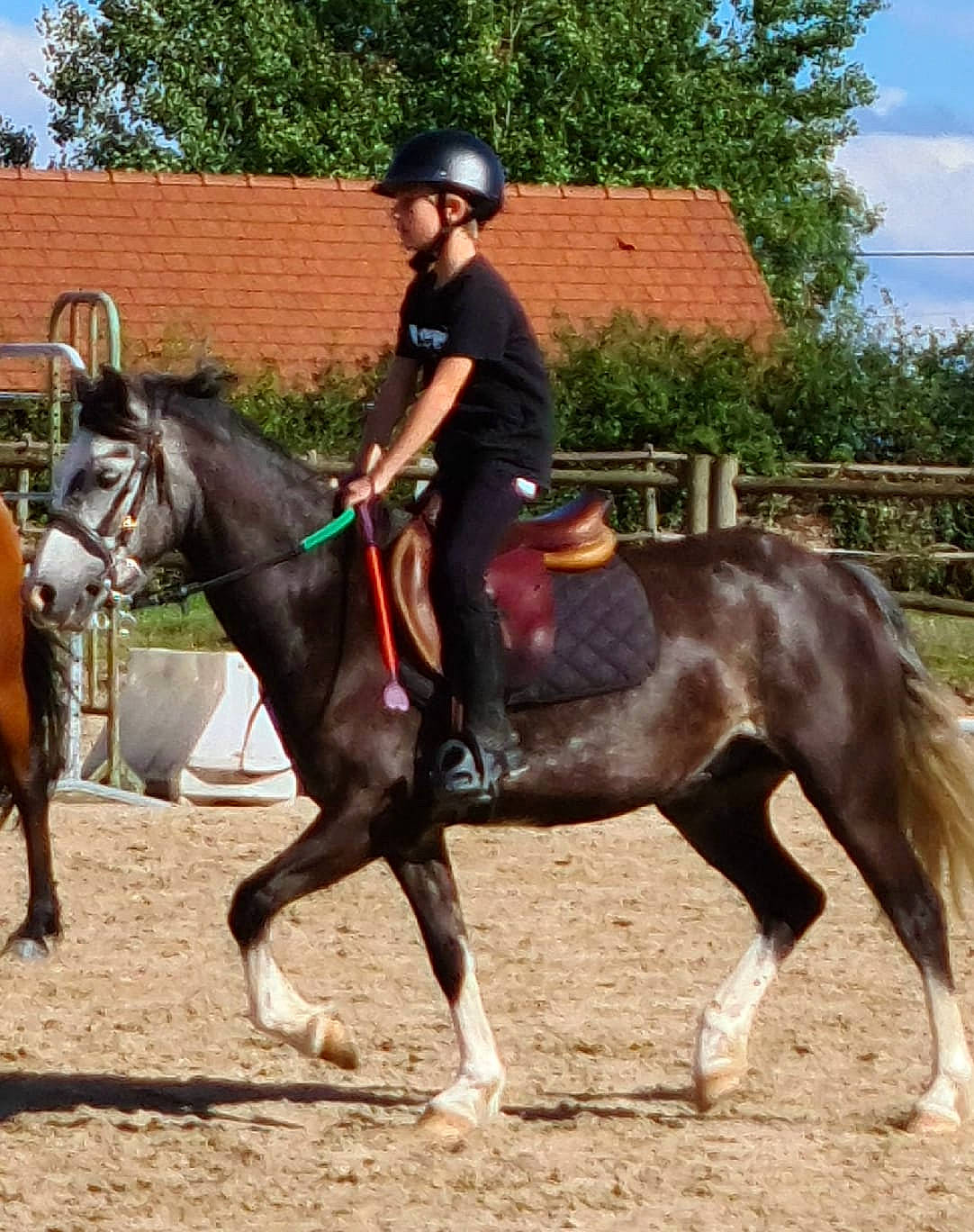 Axel a rejoint le concours — aidez-le/la à gagner de superbes lots ! bit, bridle, cloud, english_pleasure, english_riding, equestrian_helmet, equestrian_sport, equestrianism, goggles, helmet, horse, horse_supplies, horse_tack, person, recreation, rein, saddle, sky, sunglasses, tree