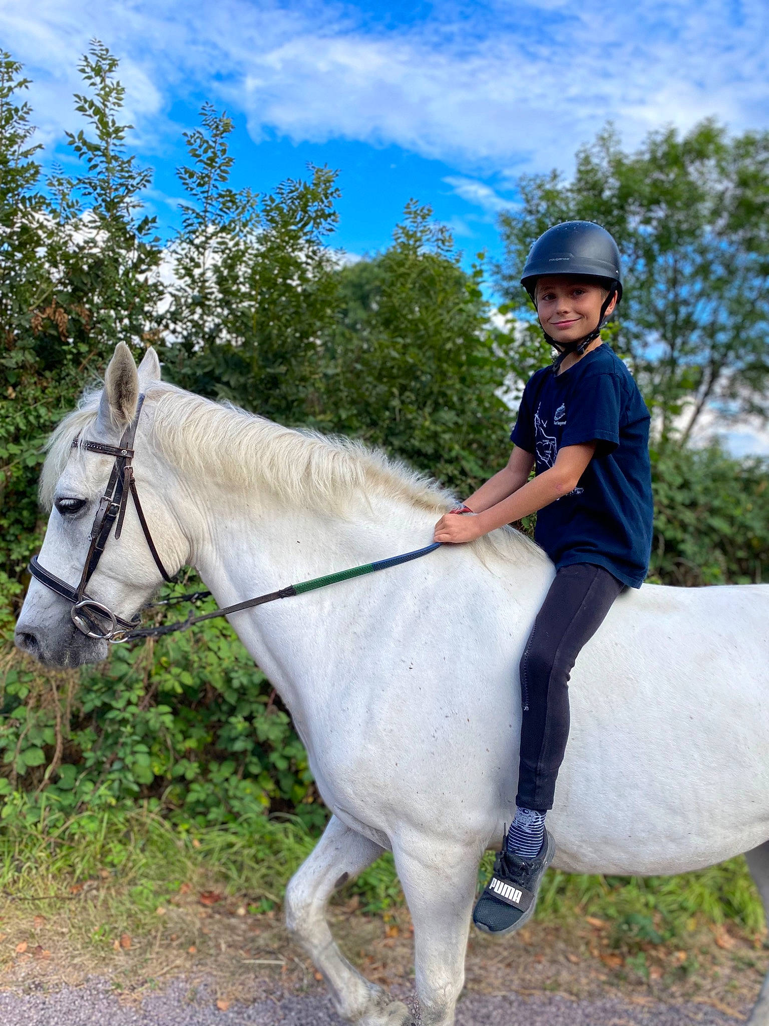Axel a rejoint le concours — aidez-le/la à gagner de superbes lots ! bit, bridle, cloud, english_riding, equestrian_helmet, equestrian_sport, equestrianism, halter, headwear, helmet, horse, horse_supplies, horse_tack, joy, mane, person, plant, rein, saddle, sky
