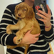Billy participe au concours pour gagner de l'argent avec cette photo : bracelet, brown_dog, casual, cute, dog, fingernails, hand, holding, indoor, jeans, mirror_selfie, person, pet, phone, puppy, reflection, sticker, striped_sweater, wall, young_dog