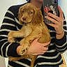 bracelet, brown_dog, casual, cute, dog, fingernails, hand, holding, indoor, jeans, mirror_selfie, person, pet, phone, puppy, reflection, sticker, striped_sweater, wall, young_dog