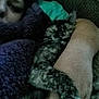 Lilith joined the competition — help win amazing prizes! person, cat, blanket, couch, arm, sleeping, cozy, indoor, tortoiseshell_cat, furry, resting, comfort, snuggling, closeup, warm, relaxed, soft, furniture, pet, animal