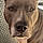 Rosko