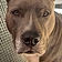 Rosko