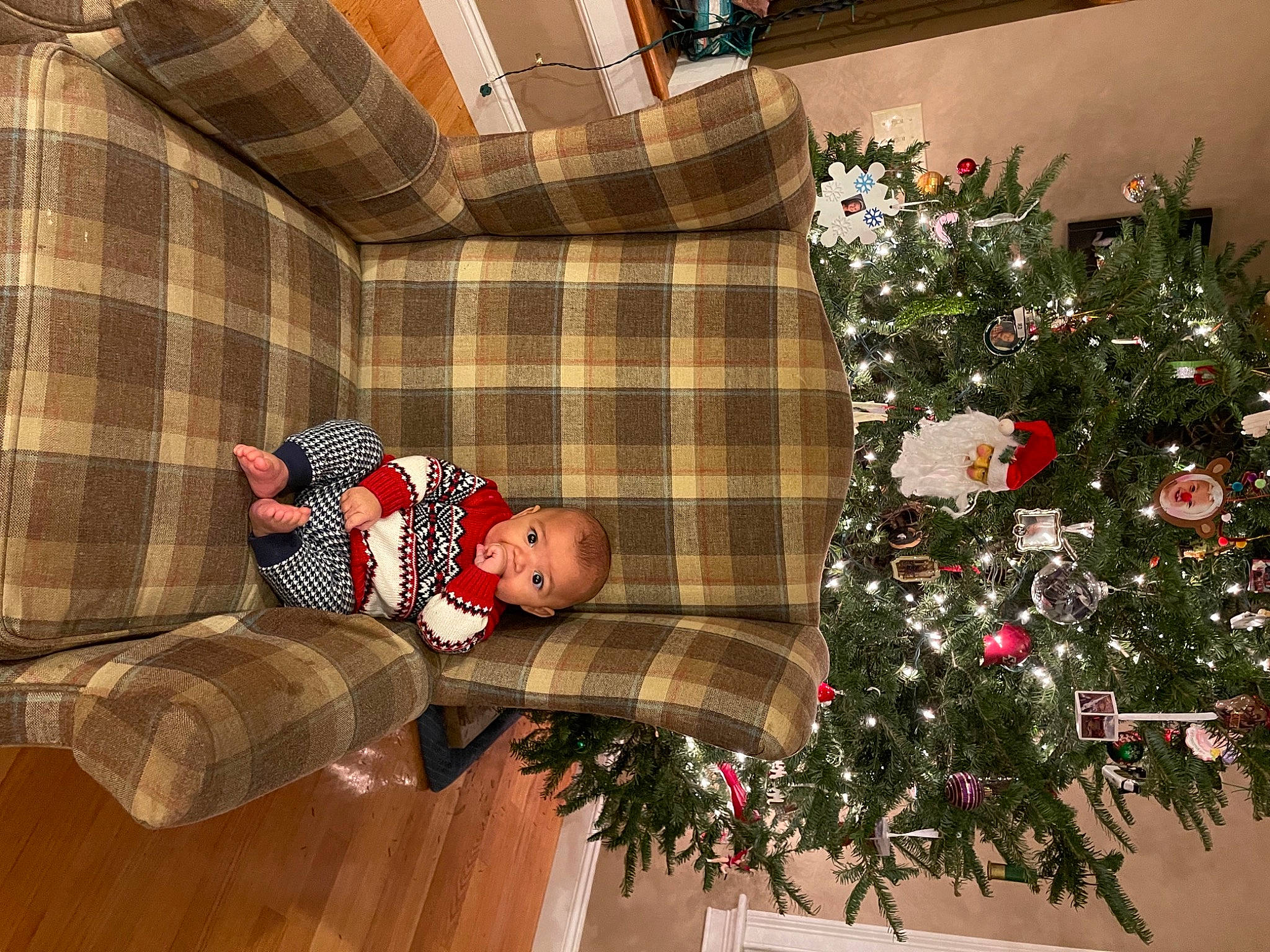 Luciano joined the competition — help win amazing prizes! christmas, christmas_decoration, christmas_ornament, christmas_tree, comfort, couch, event, holiday, holiday_ornament, interior_design, living_room, ornament, pattern, person, plaid, plant, tartan, textile, tree, winter