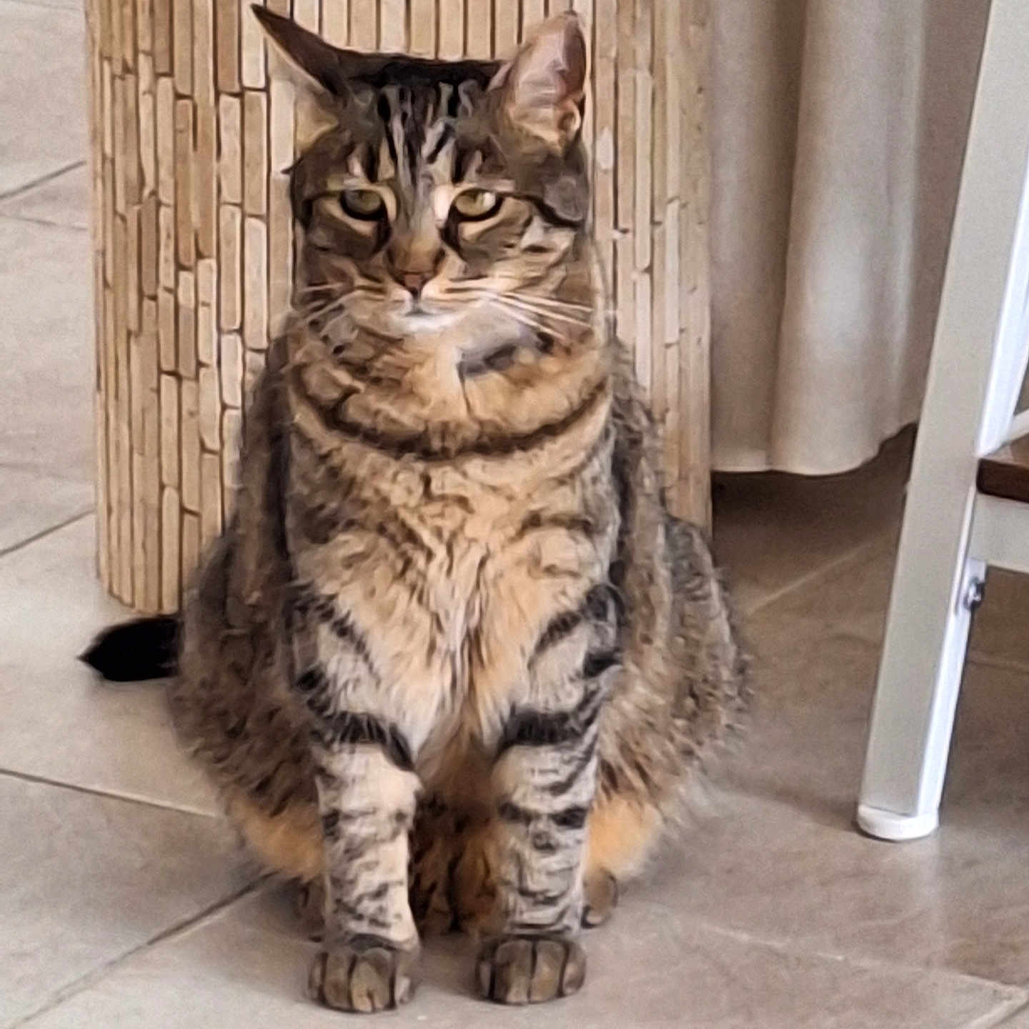 Nina