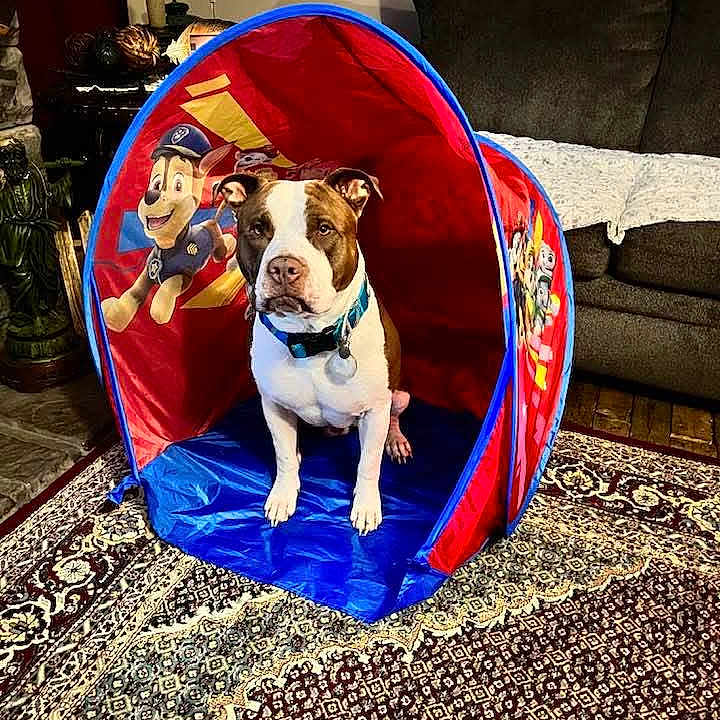 Petey Dale
