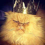 Darwin a rejoint le concours — aidez-le/la à gagner de superbes lots !