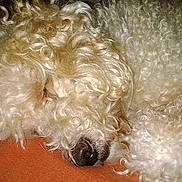 Bob a rejoint le concours — aidez-le/la à gagner de superbes lots !