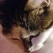 Perle a rejoint le concours — aidez-le/la à gagner de superbes lots !