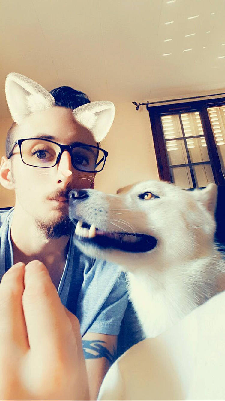 Spike participe au concours pour gagner de l'argent avec cette photo : berger_blanc_suisse, canidae, carnivore, companion_dog, cool, dog, dog_breed, gesture, glasses, jaw, korean_jindo_dog, nose, photography, selfie, white_shepherd