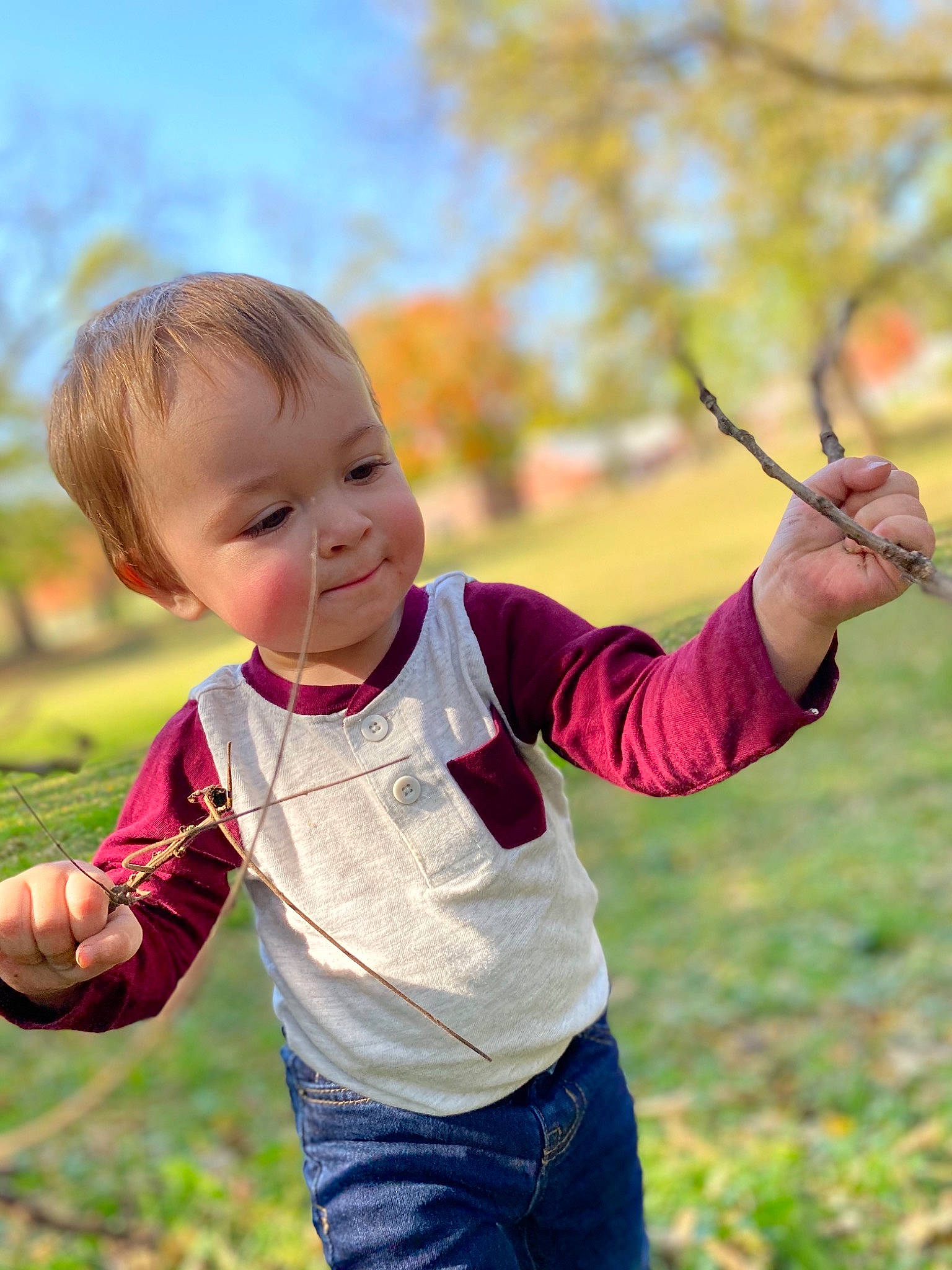 John Michael is registered to the contest to win money with this photo: autumn, baby, branch, child, fun, gesture, grass, hand, happy, leaf, people_in_nature, person, photography, plant, play, smile, spring, toddler, tree, yellow