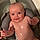 Harlow
