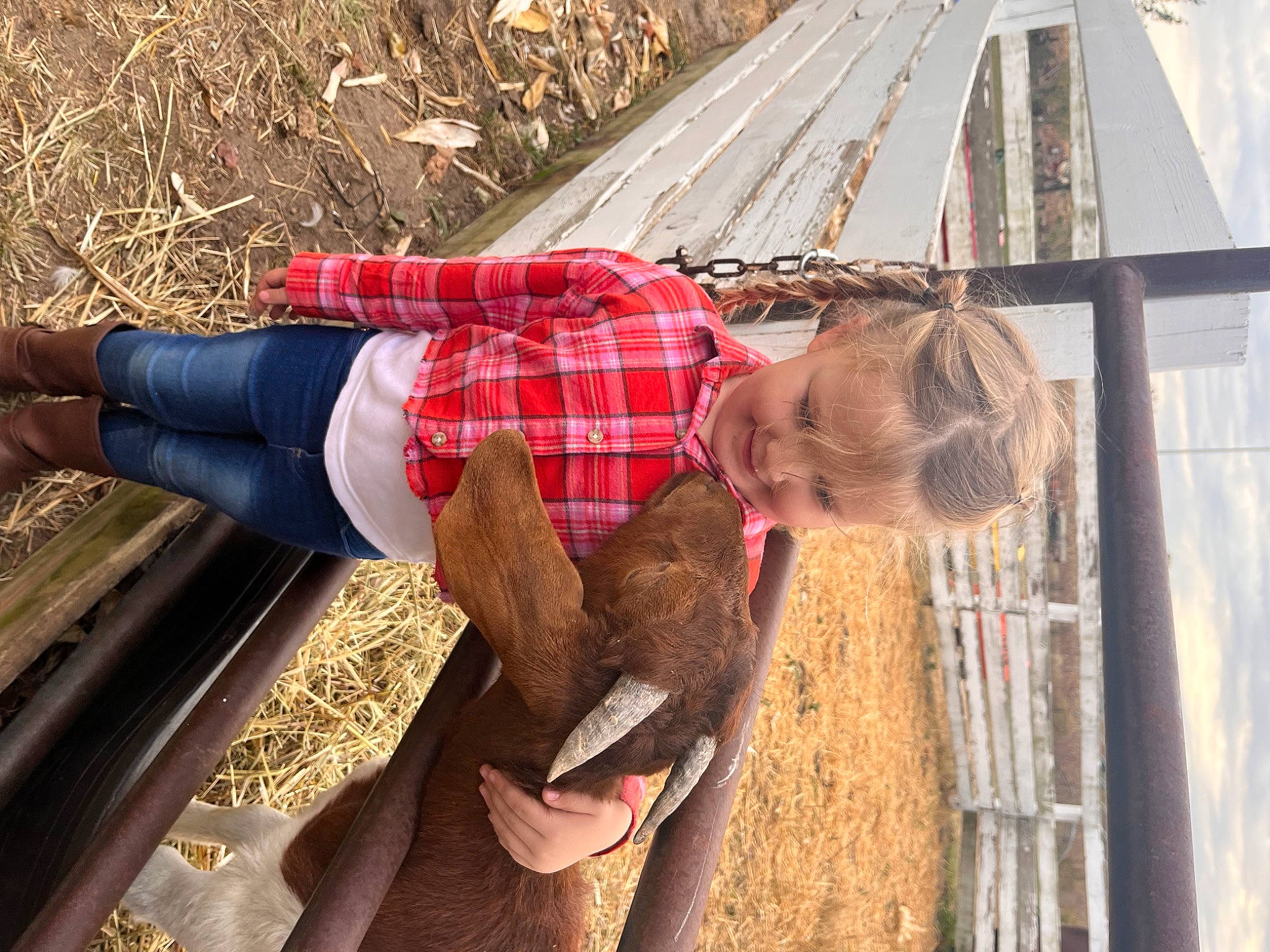 Sofia joined the competition — help win amazing prizes! fun, fur, grass, happy, human_leg, joy, leisure, pattern, people_in_nature, person, plaid, soil, tartan, toddler, wood