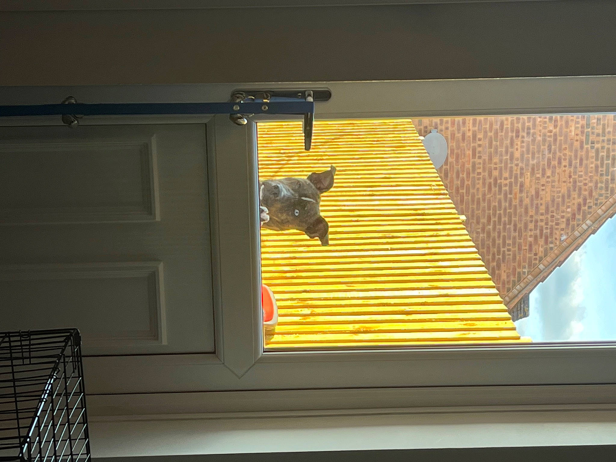 Draco is registered to the contest to win money with this photo: building, ceiling, door, facade, fixture, hardwood, house, material_property, metal, rectangle, roof, room, sash_window, shade, siding, tints_and_shades, window, window_covering, window_treatment, wood