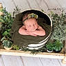 Taytum joined the competition — help win amazing prizes! newborn, baby, sleeping, headband, blanket, bucket, wooden_bed, plants, greenery, succulents, flower, portrait, peaceful, cute, infant, decor, soft_light, indoors, resting, photography