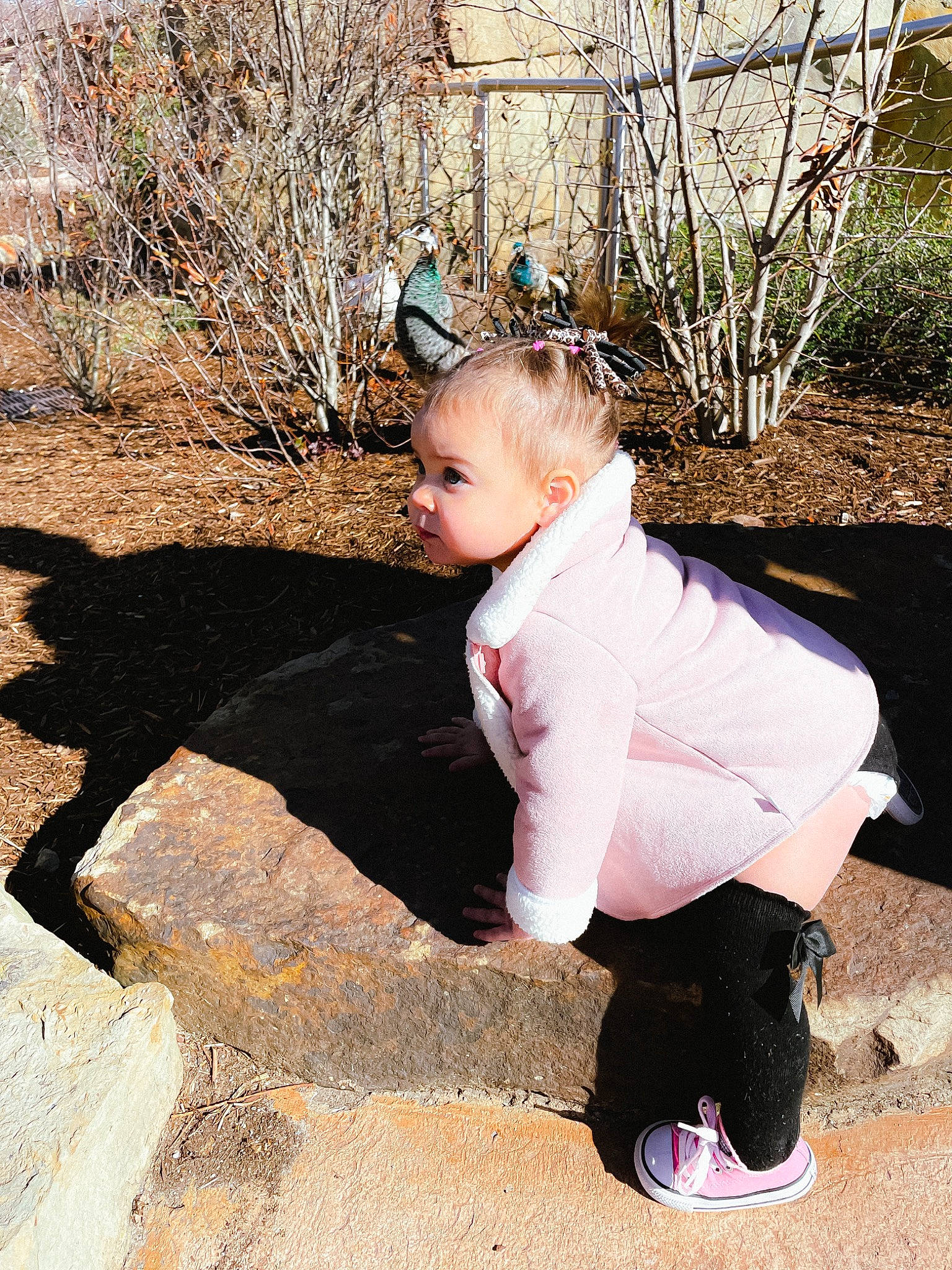 Oakleigh joined the competition — help win amazing prizes! child, eyewear, flash_photography, fun, fur, grass, happy, leg, leisure, people_in_nature, person, plant, portrait_photography, recreation, sandal, sitting, sleeve, soil, tints_and_shades, toddler