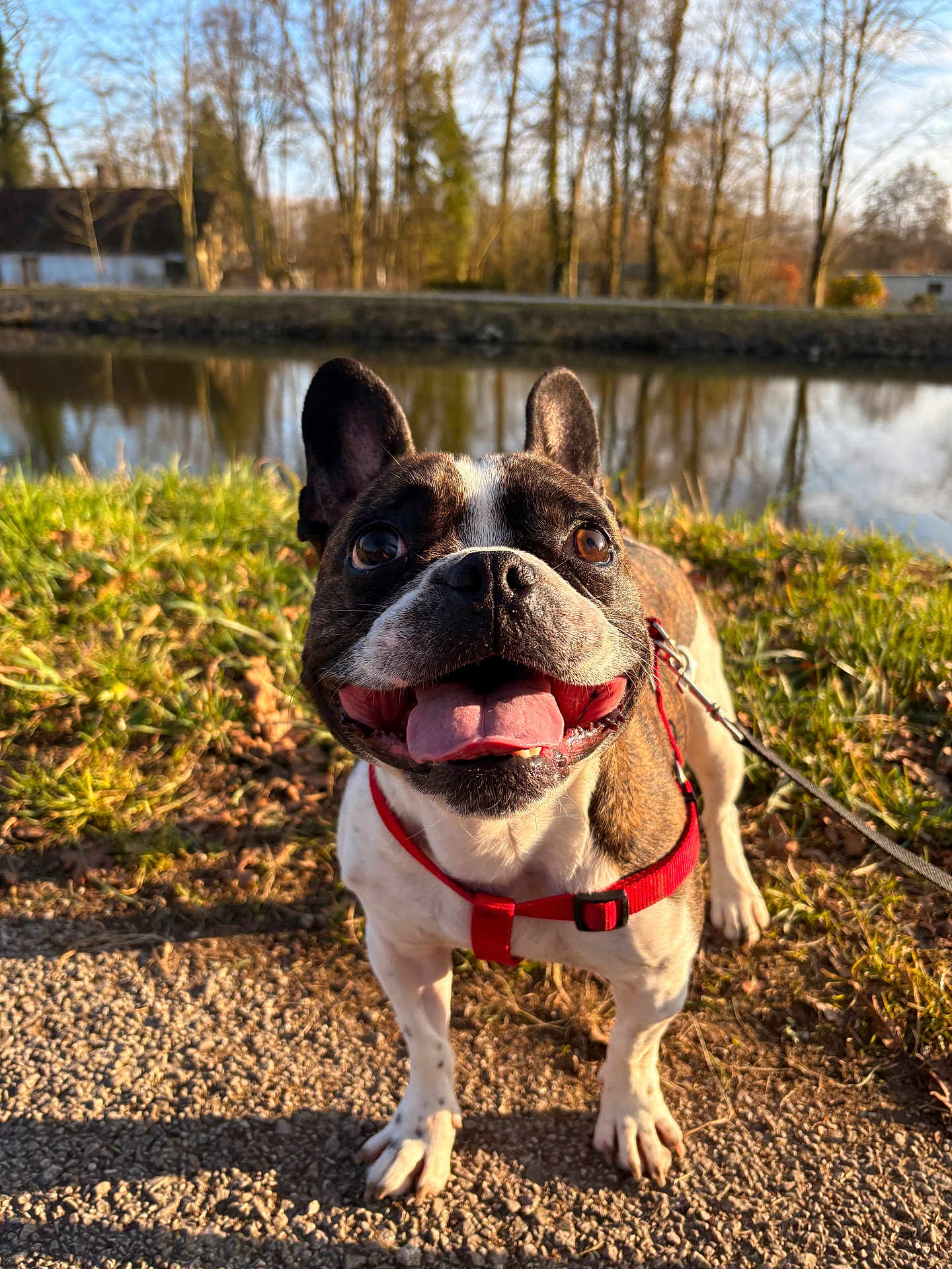 Ruben