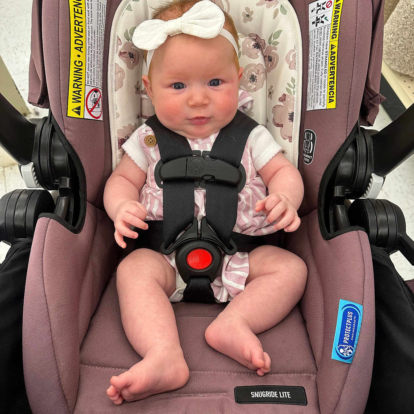 Brynleigh
