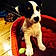 Izzy