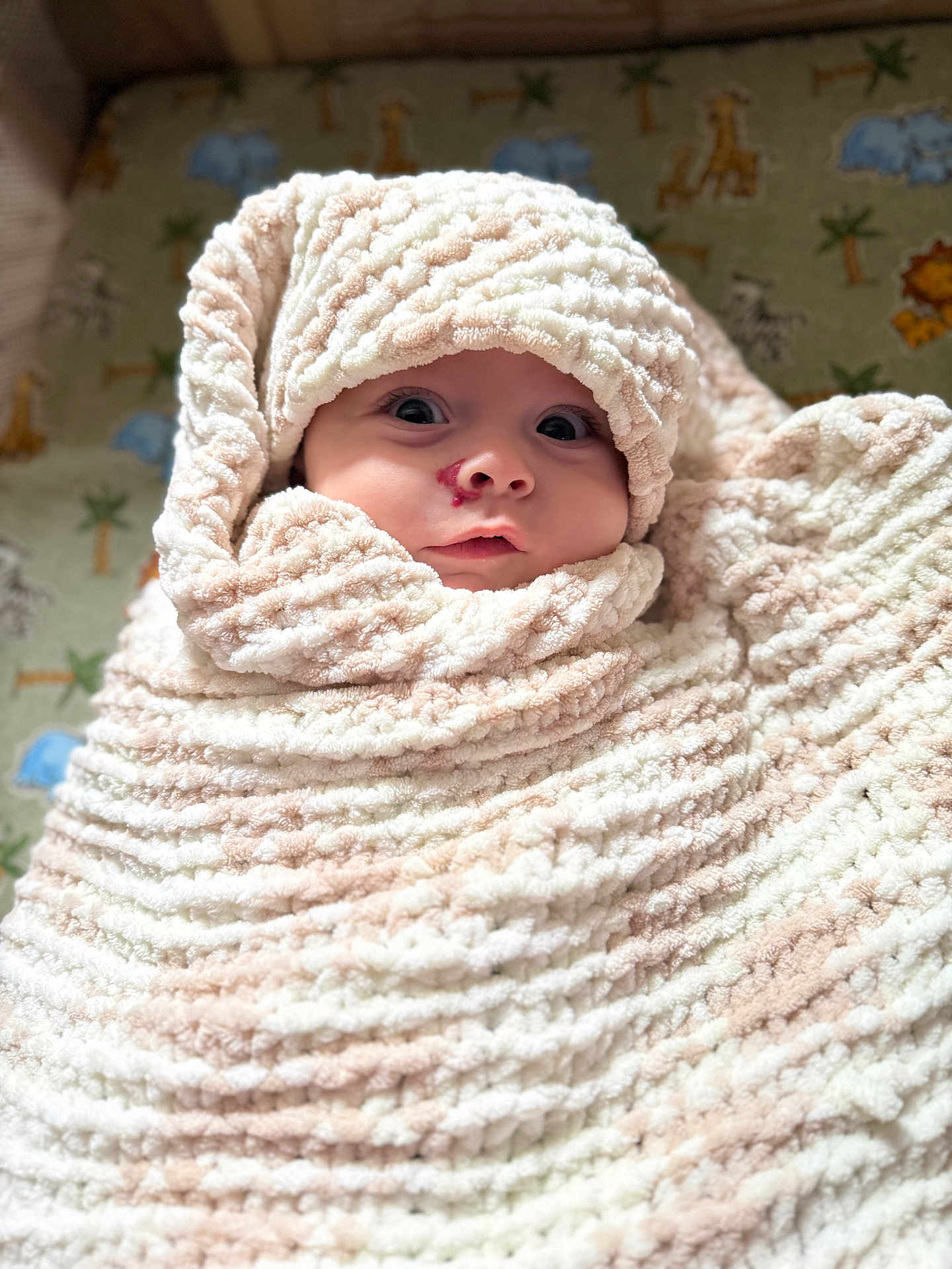Gabriell joined the competition — help win amazing prizes! baby, blanket, wrapped, soft_texture, face, wide_eyes, infant, cozy, cute, expression, indoor, animal_pattern, nursery, child, portrait, warm, head, snug, newborn, curious