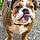 Izzie