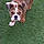 Izzie