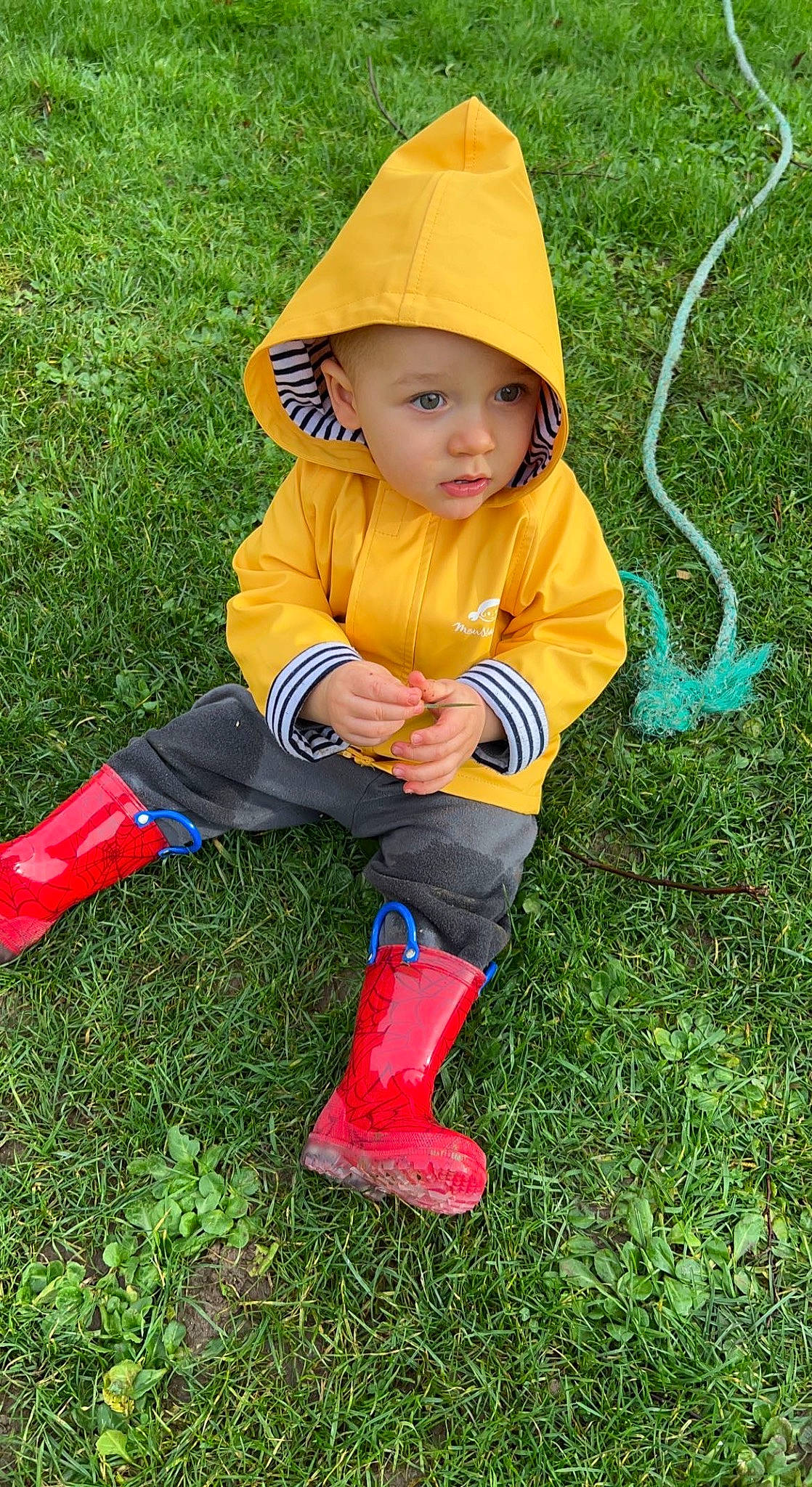Swann participe au concours pour gagner de l'argent avec cette photo : baby, cap, carmine, child, fun, garden, grass, grassland, headgear, headwear, lawn, leisure, outerwear, people_in_nature, person, plant, play, recreation, sitting, soil