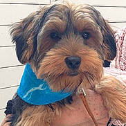 Théo participe au concours pour gagner de l'argent avec cette photo :