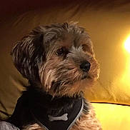 Théo a rejoint le concours — aidez-le/la à gagner de superbes lots !