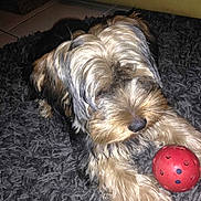 Theo a rejoint le concours — aidez-le/la à gagner de superbes lots !