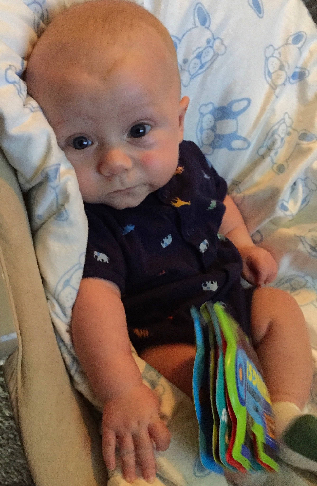 Maxwell is registered to the contest to win money with this photo: baby, baby_toddler_clothing, beauty, cheek, child, comfort, eye, finger, happy, human_body, iris, lip, mouth, neck, nose, product, skin, sleeve, textile, toddler