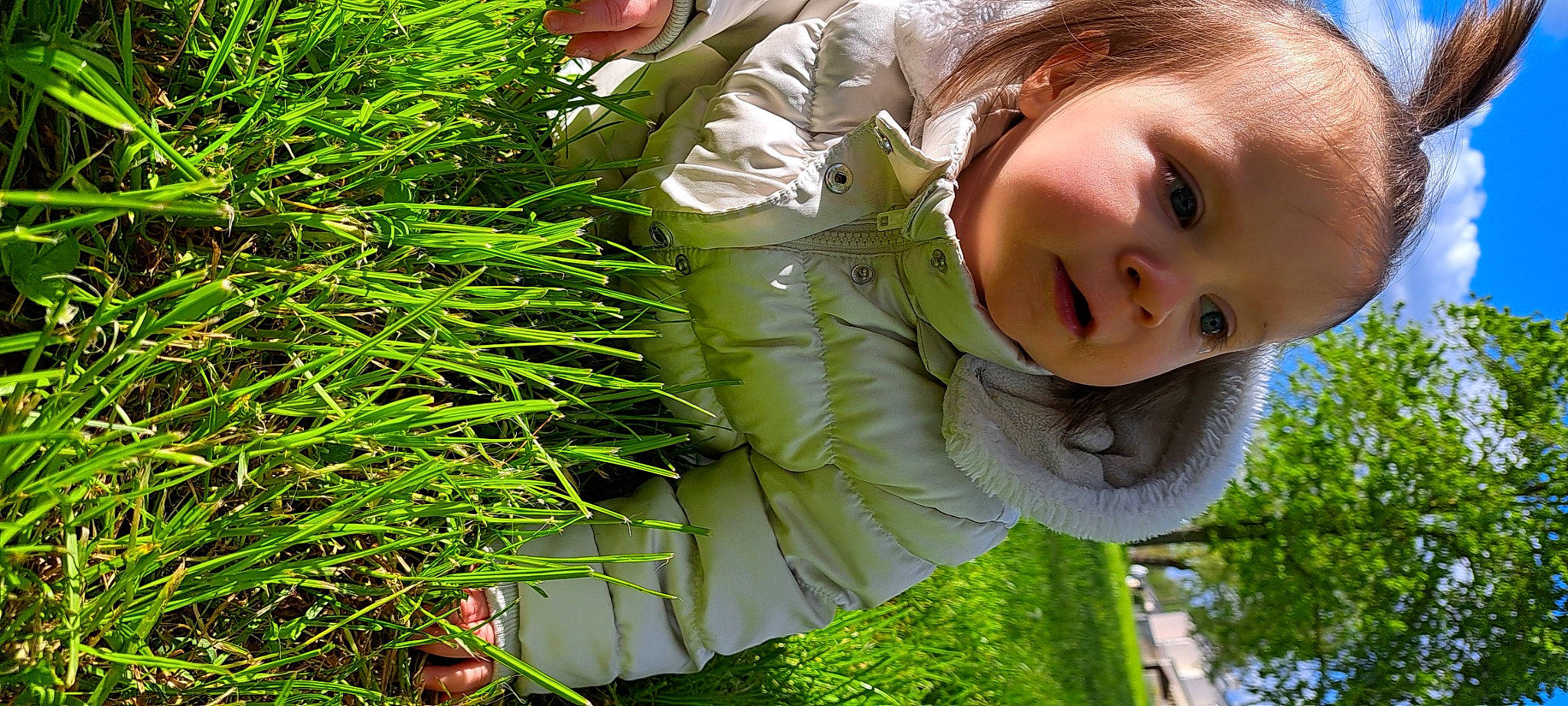 Mya participe au concours pour gagner de l'argent avec cette photo : blond, botany, child, fun, grass, grass_family, grassland, green, groundcover, happy, herb, leaf, leisure, people_in_nature, person, plant, smile, terrestrial_plant, toddler, tree