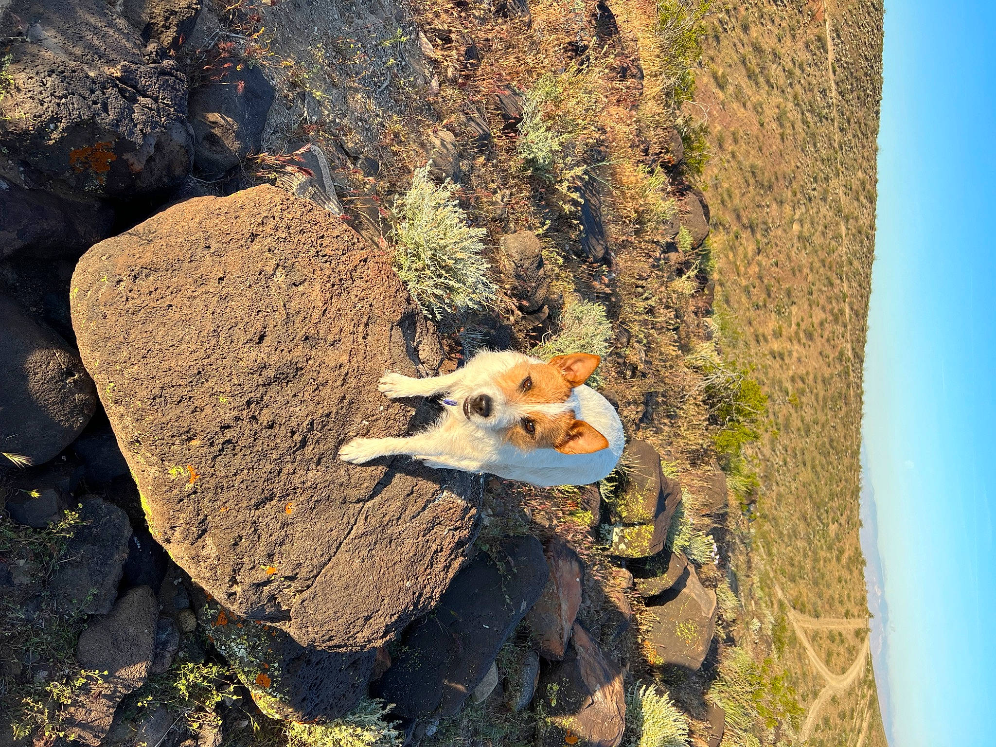 Lillie is registered to the contest to win money with this photo: adventure, bedrock, biome, fawn, formation, geological_phenomenon, grass, landscape, natural_landscape, plant, rock, sky, soil, stuffed_toy, toy, tree, trunk, vegetation, wilderness, wood