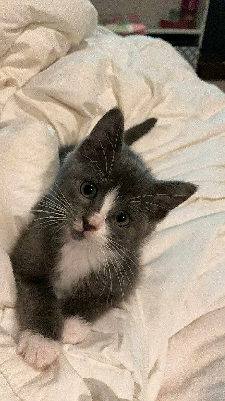 Stormi