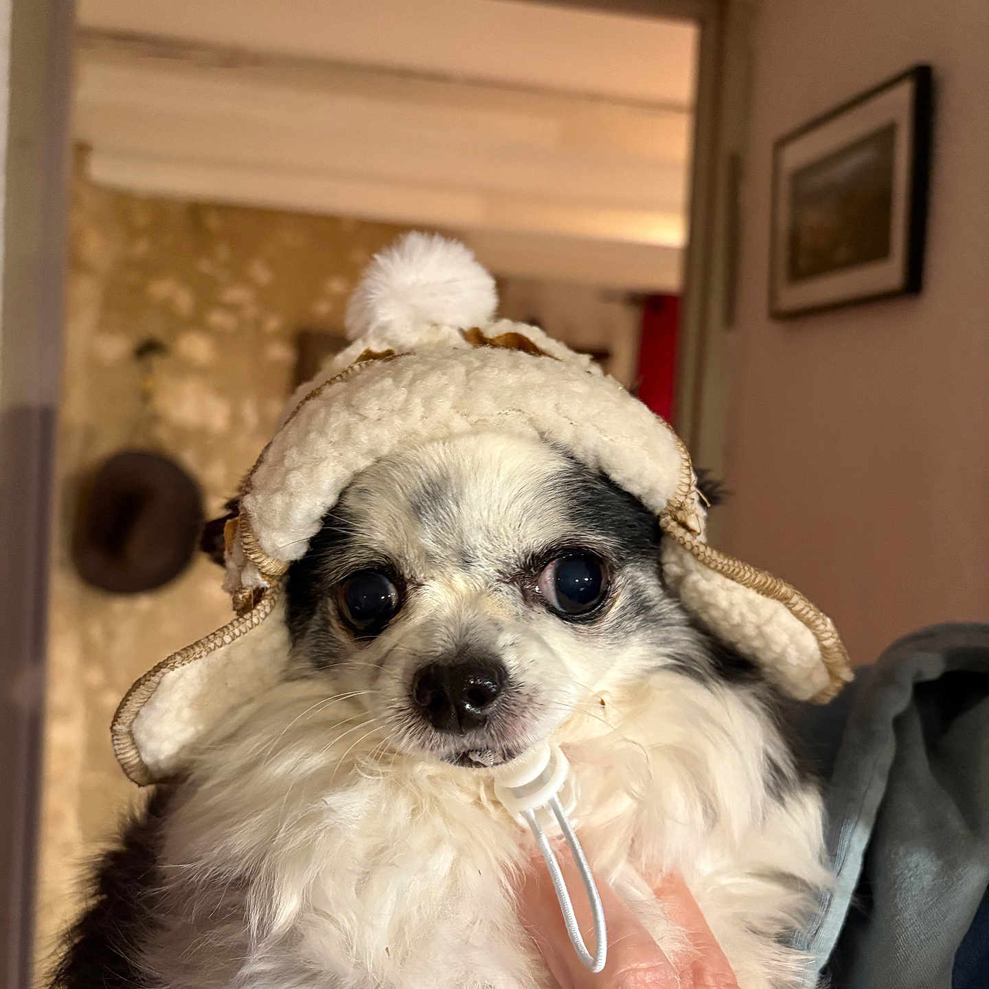 Lili-Rose