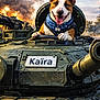 Kaïra a rejoint le concours — aidez-le/la à gagner de superbes lots ! dog, tank, military_vehicle, helicopter, explosion, smoke, blue_sky, bandana, animal, military, warzone, canine, vehicle, outdoor, portrait, tank_hatch, happy, tongue_out, closeup, adventure