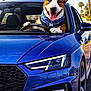 bandana, blue_car, canine, car, daytime, dog, happy, license_plate, outdoor, palm_trees, paws, pet, road, smiling, steering_wheel, sunny, tongue_out, transportation, vehicle, window