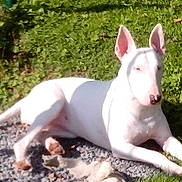 Chayna participe au concours pour gagner de l'argent avec cette photo :