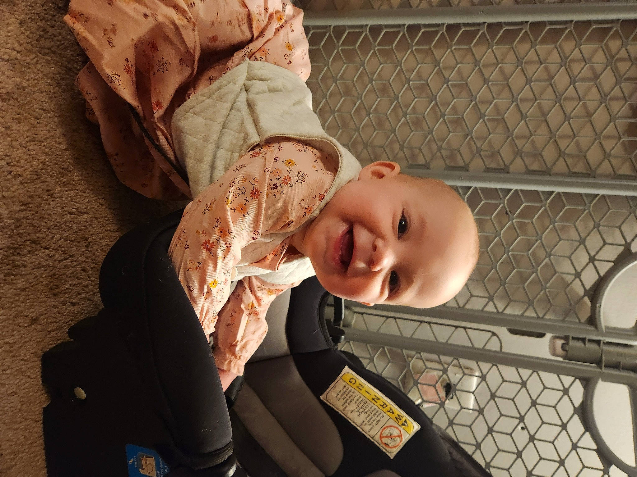 Freya is registered to the contest to win money with this photo: baby, baby_carriage, baby_products, cheek, child, comfort, fence, flash_photography, fun, happy, human_body, mesh, nose, person, sitting, skin, smile, toddler, tree, window