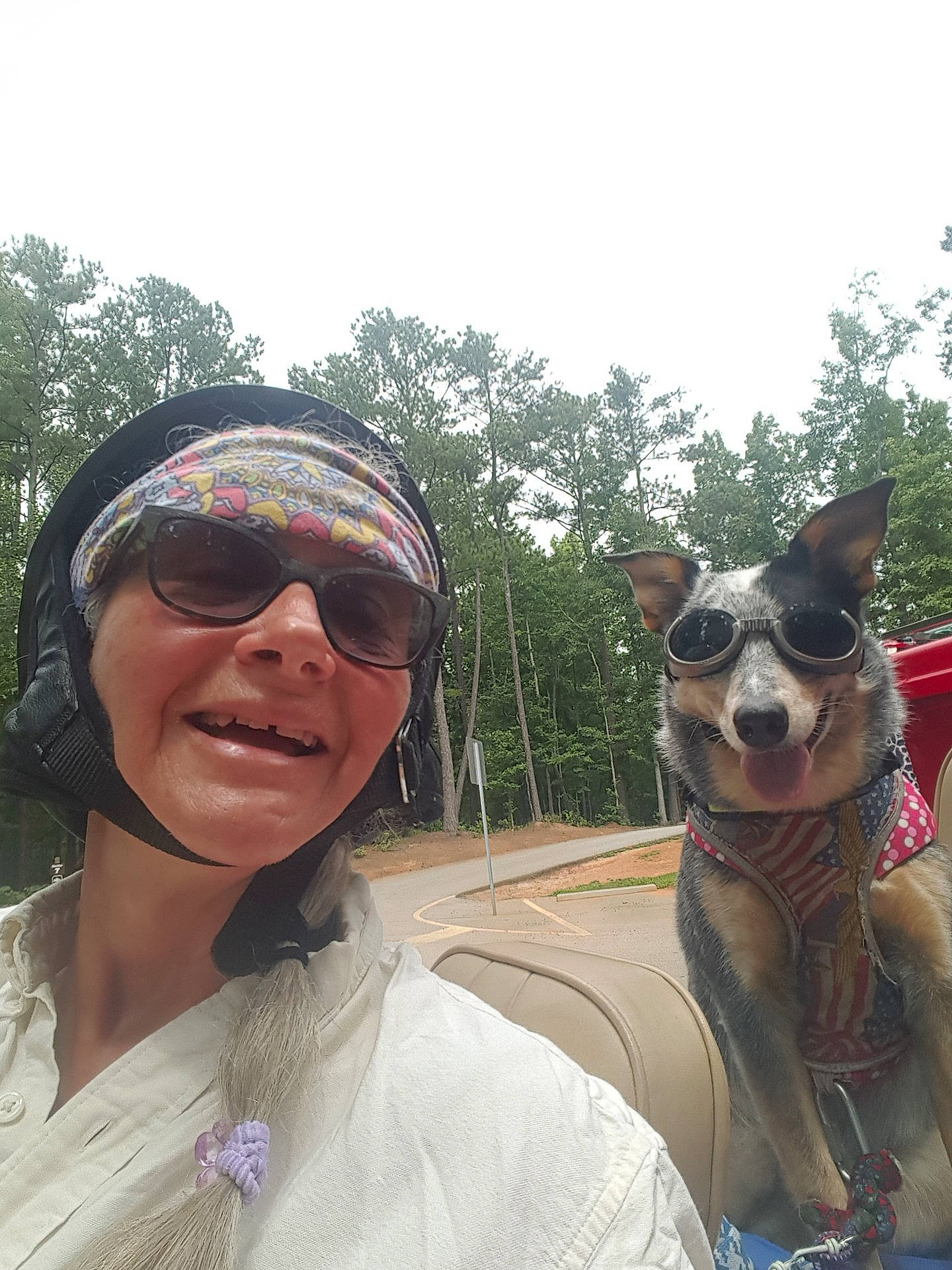 Bluebelle is registered to the contest to win money with this photo: dog, dog_breed, dog_like_mammal, eyewear, glasses, headgear, headwear, person, snout, sunglasses, vacation, vision_care