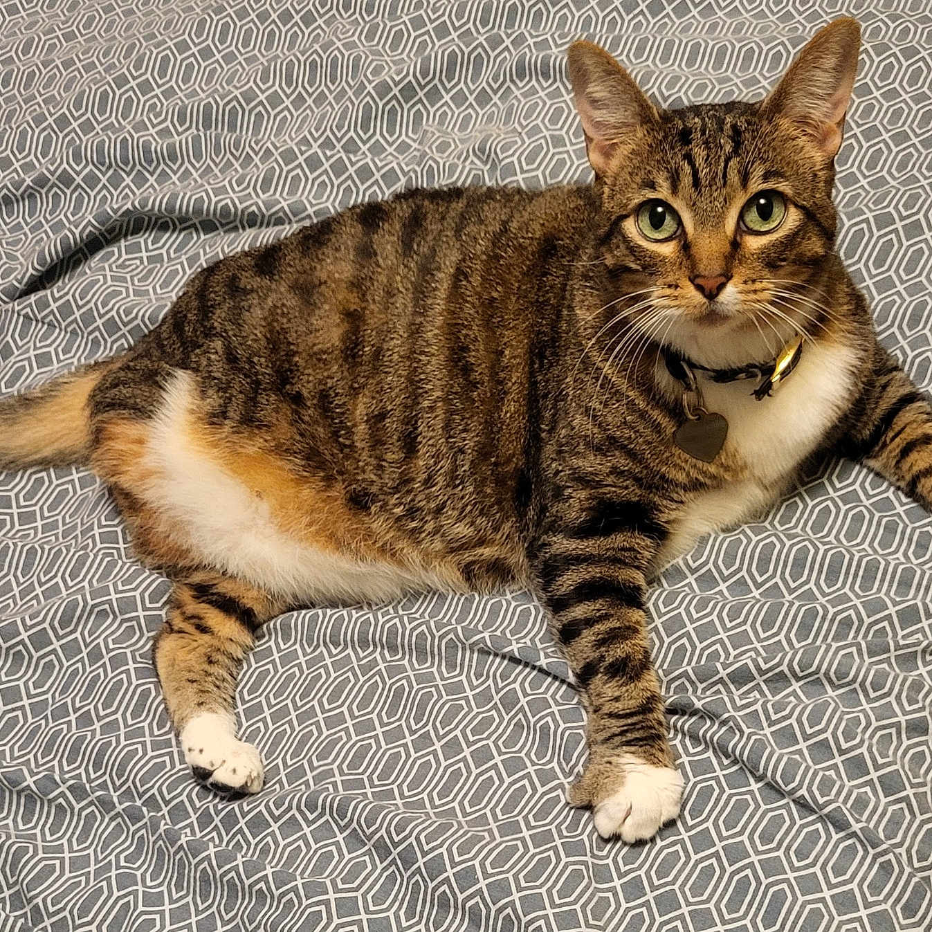 Tula