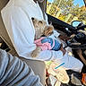 dog, small_dog, pet, animal, pink_sweater, denim_outfit, car, driver, passenger, lap, vehicle_interior, steering_wheel, road_trip, sunlight, outdoor, window, trees, snacks, console, portrait