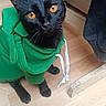 cat, black_cat, pet, hoodie, green_clothing, amber_eyes, animal_face, whiskers, ears, sitting, indoor, wooden_floor, furniture, chair, home, portrait, close_up, fashionable, cute, playful