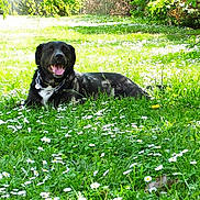 Haribo participe au concours pour gagner de l'argent avec cette photo :