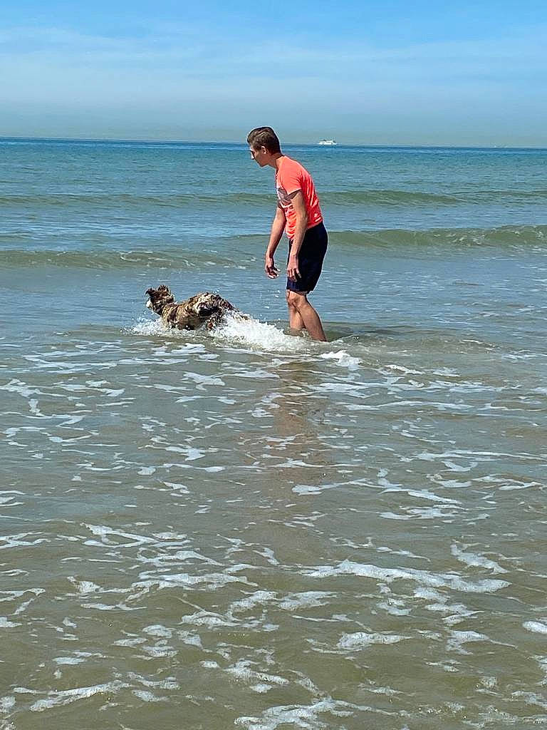 Taya participe au concours pour gagner de l'argent avec cette photo : beach, carnivore, cloud, dog, dog_breed, fun, lake, leisure, ocean, recreation, sand, shorts, sky, sporting_group, sports, surfboard, surfing_equipment, water, wave, wind_wave